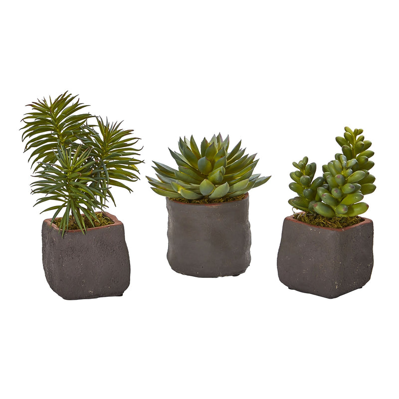 Nearly Natural Mixed Succulent Trio Artificial Plant (Set of 3) (4232-S3)