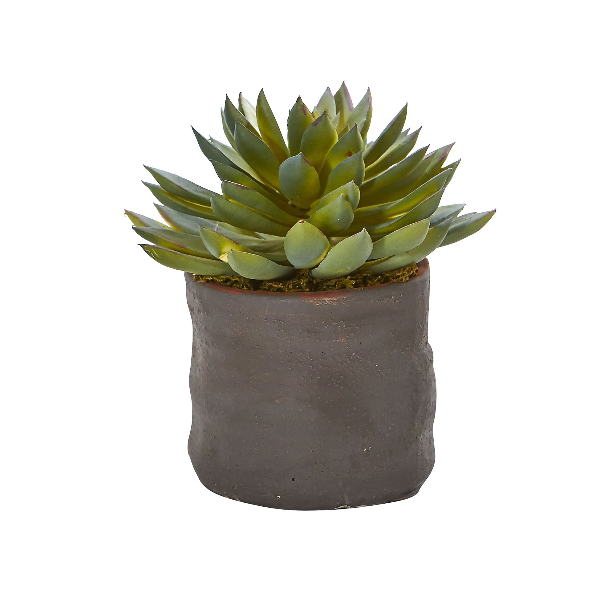 Nearly Natural Mixed Succulent Trio Artificial Plant (Set of 3) (4232-S3)