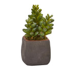 Nearly Natural Mixed Succulent Trio Artificial Plant (Set of 3) (4232-S3)