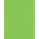 JAM PAPER 8.5” x 11” Cardstock, 100lb, Limelight, 50/pack  (81211-C-199-50)