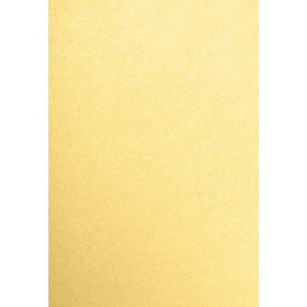 JAM PAPER 13" x 19" Cardstock, Gold Metallic, 50/pack  (1319-C-M40-50)