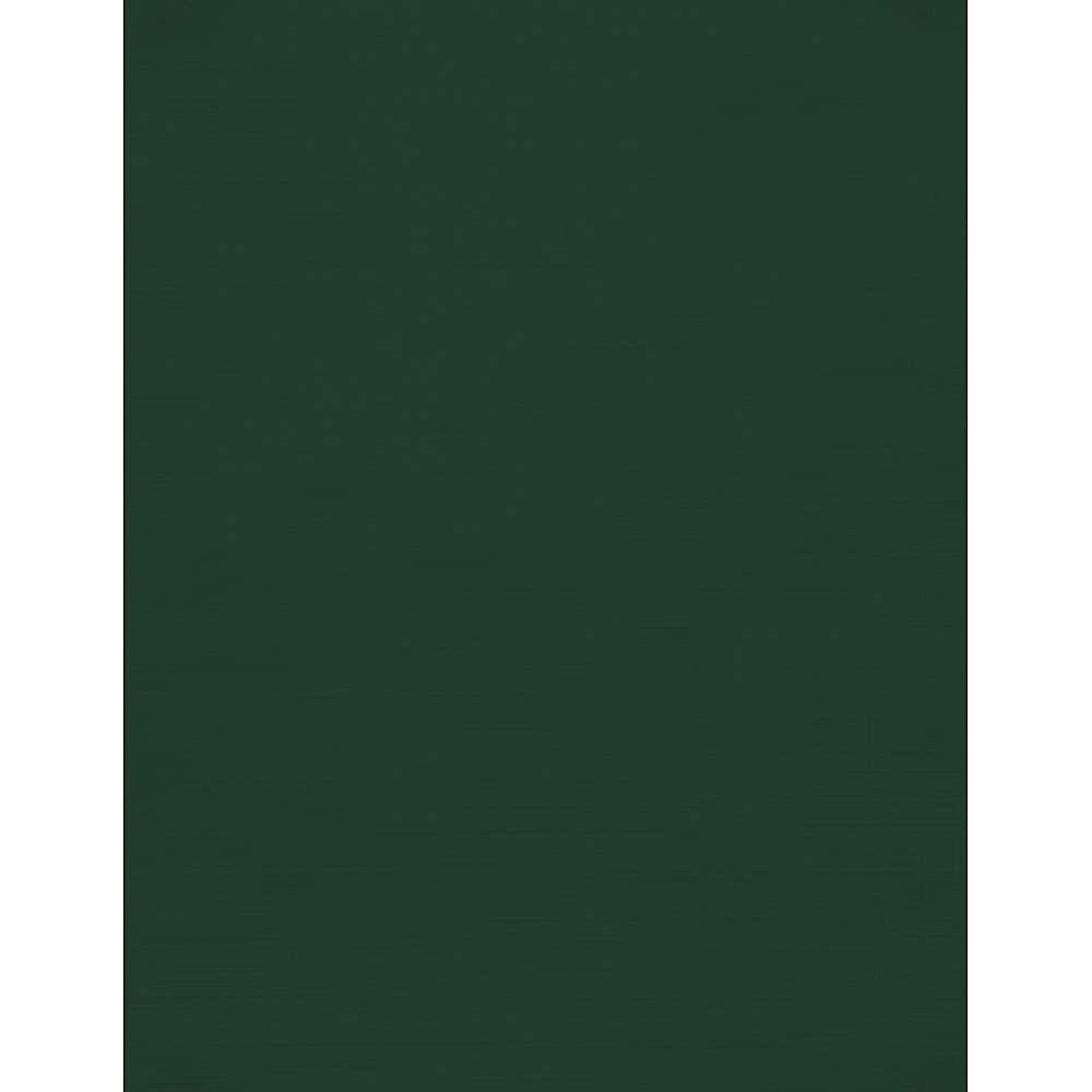 JAM Paper 100 lb. 8.5" x 11" Color Cardstock, Green Linen, 50/pack  (81211-C-GNLI-50)