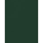 JAM Paper 100 lb. 8.5" x 11" Color Cardstock, Green Linen, 50/pack  (81211-C-GNLI-50)