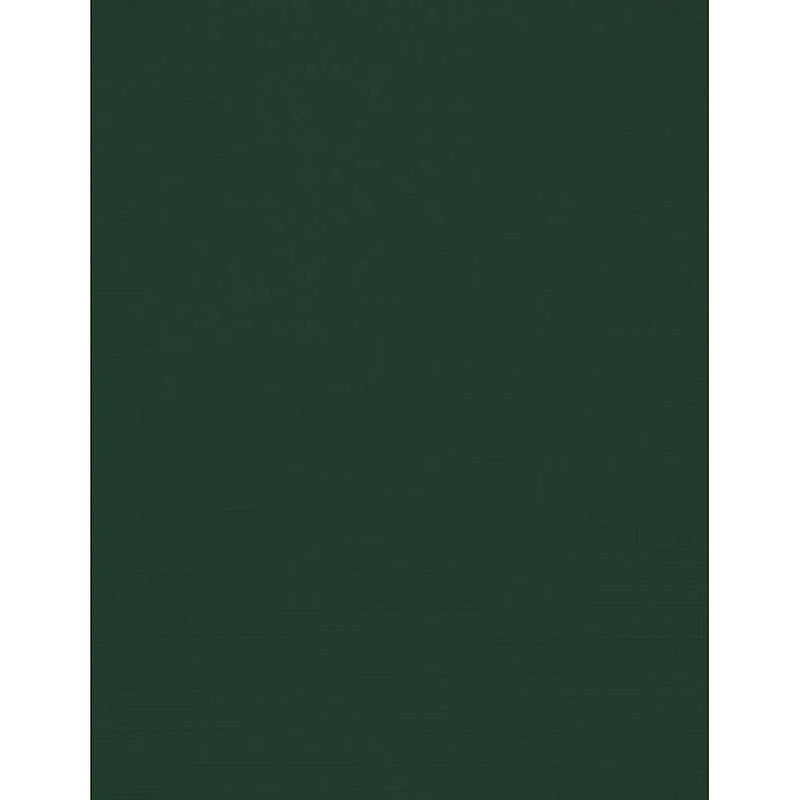 JAM Paper 100 lb. 8.5" x 11" Color Cardstock, Green Linen, 50/pack  (81211-C-GNLI-50)