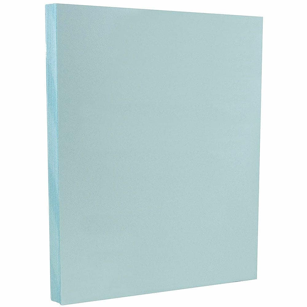 JAM PAPER Vellum Bristol Cardstock, 67lb, 100/pack  (169820G)
