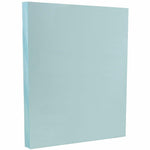 JAM PAPER Vellum Bristol Cardstock, 67lb, 100/pack  (169820G)