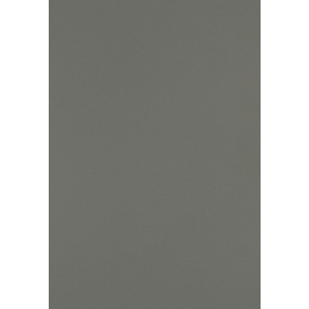 JAM PAPER 13" x 19" Cardstock, 100lb, Smoke, 50/pack  (1319-C-22-50)