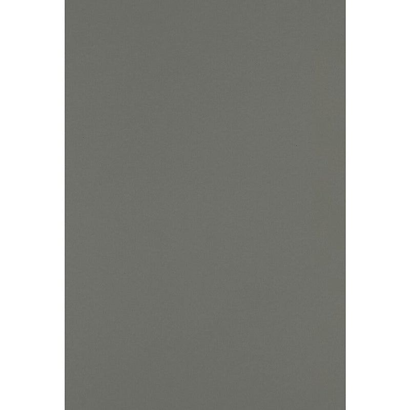JAM PAPER 13" x 19" Cardstock, 100lb, Smoke, 50/pack  (1319-C-22-50)