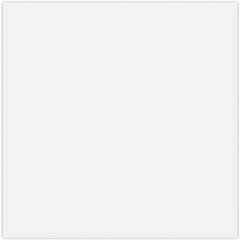 JAM Paper 8.5" x 11" Multipurpose Paper, 92lb, Brilliant White, 50 Sheets/Pack /Pack (81211-P-SBW-50)