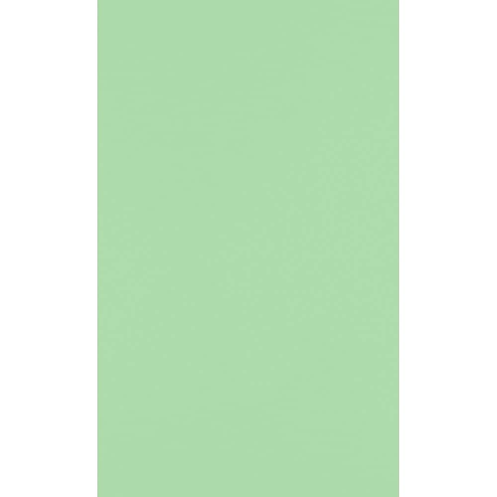 JAM Paper 11" x 17" Multipurpose Paper, 60 lbs., Pastel Green, 50/Pack (1117-P-67-50)