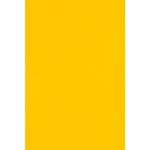 JAM PAPER 12" x 18" Cardstock, Sunflower, 50/pack  (1218-C-12-50)