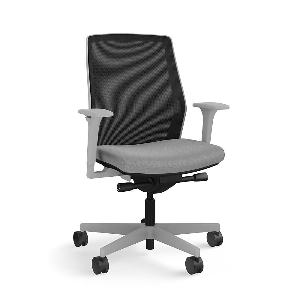 Allsteel Lyric Upholstered Seat/Mesh Back LT Work Chair, Frost/Carbon, 2D Adjustable Arms (CLL-MLHNO.T.T.LT.2.B.AM01.CU22.N)