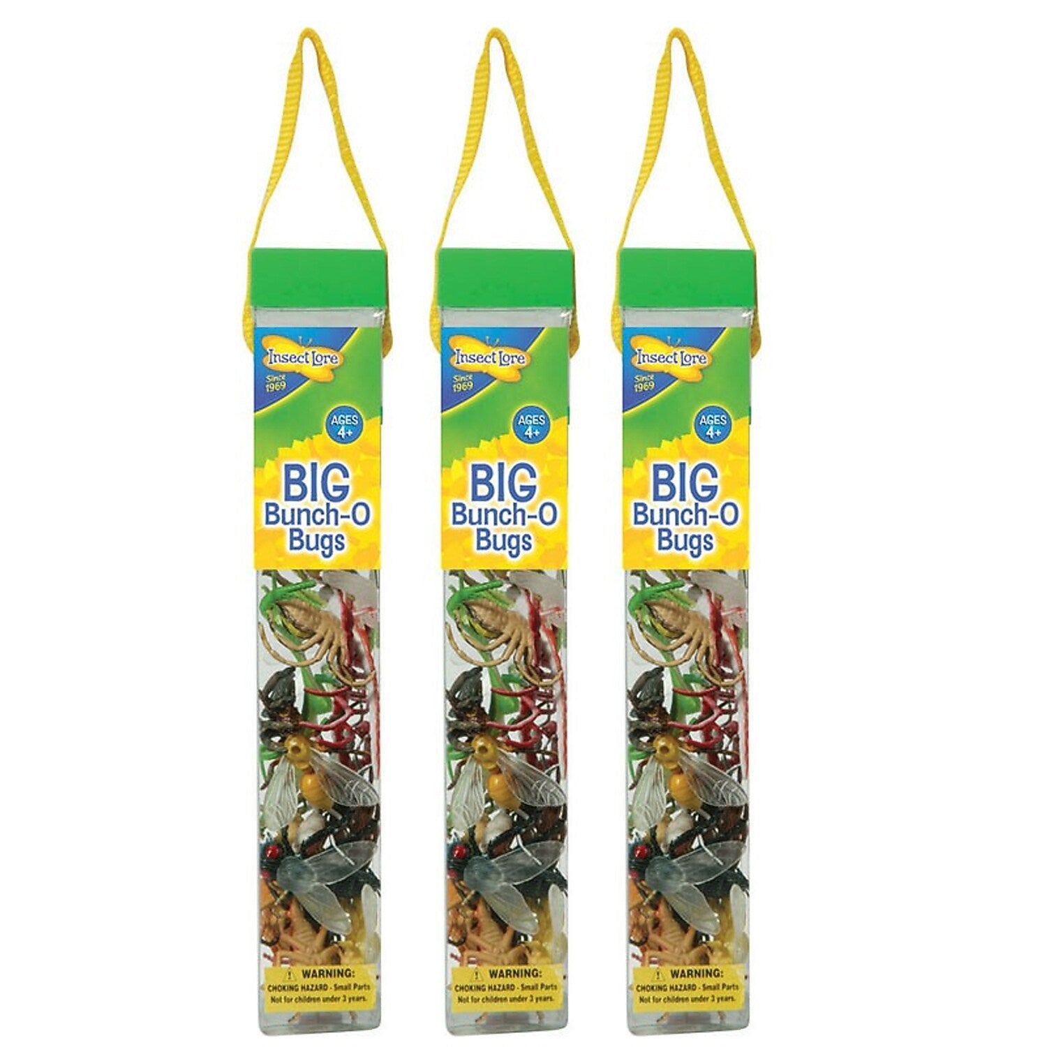 Insect Lore Big Bunch O' Bugs, 18 Per Set, 3 Sets (ILP4840-3)