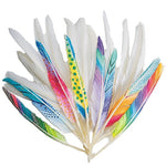 S&S Worldwide Long Quill Feathers White (TR285)
