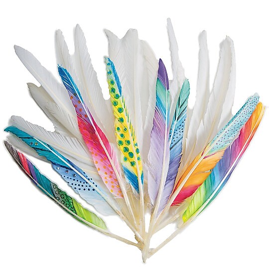 S&S Worldwide Long Quill Feathers White (TR285)