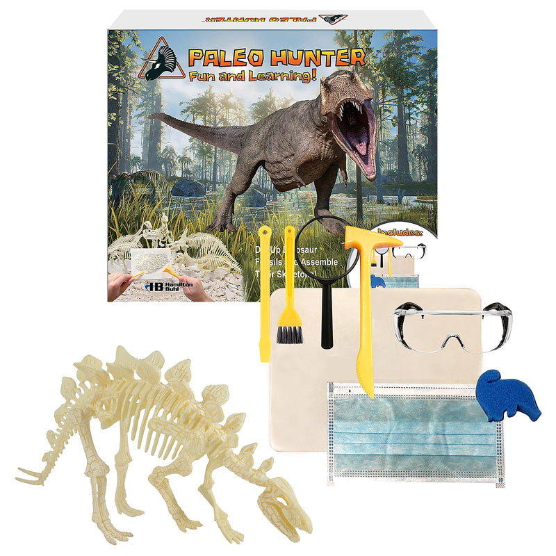 Hamilton Buhl Paleo Hunter Stegosaurus Dig Kit  (HECPHSTS)