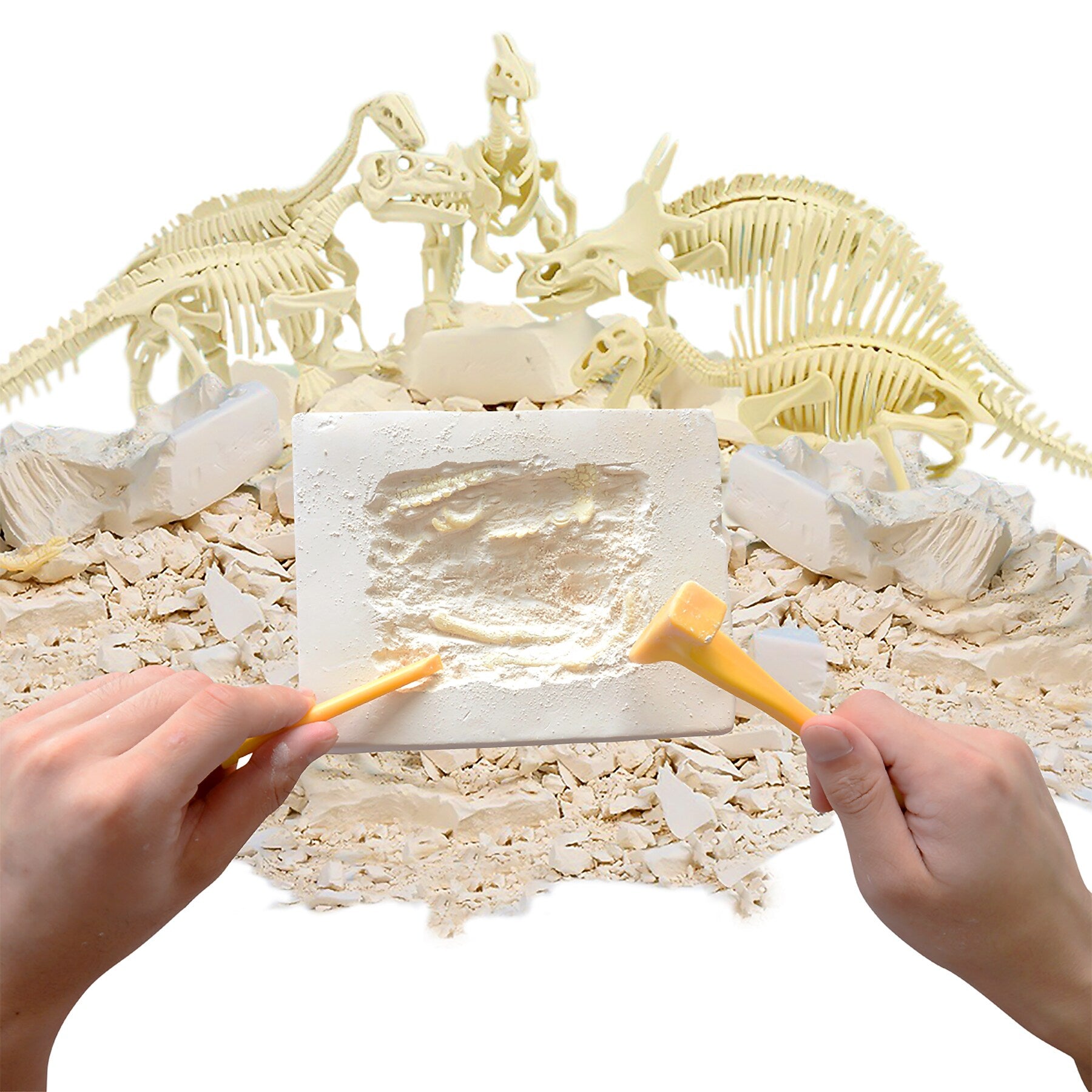 Hamilton Buhl Paleo Hunter Stegosaurus Dig Kit  (HECPHSTS)