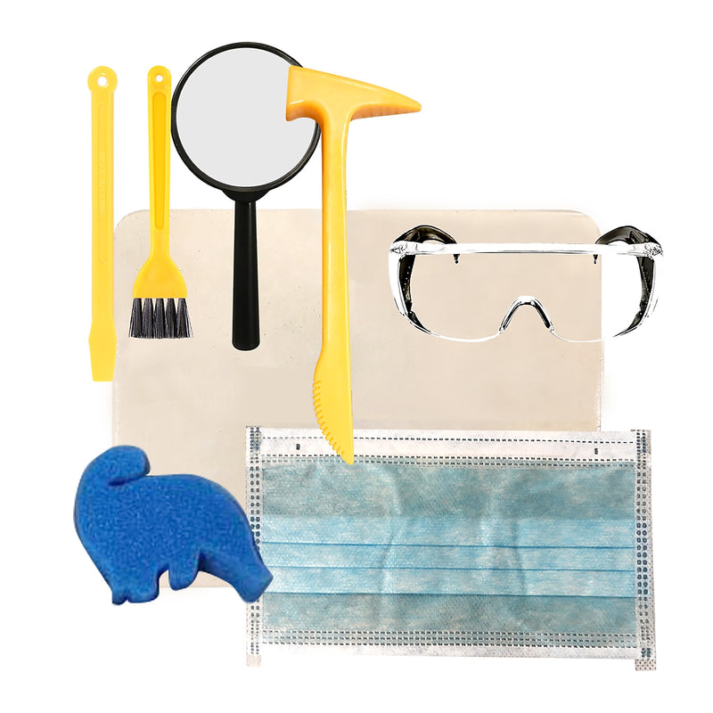Hamilton Buhl Paleo Hunter Stegosaurus Dig Kit  (HECPHSTS)