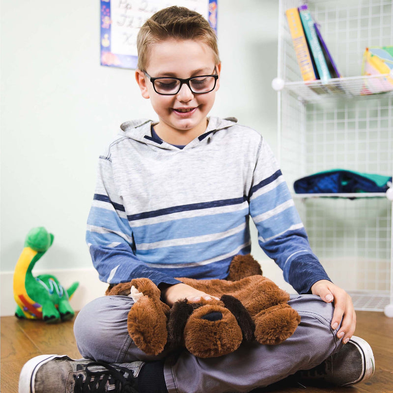Bouncyband Washable Sensory Plush Lap Pad, Puppy, 15" x 14" (BBALPDO)