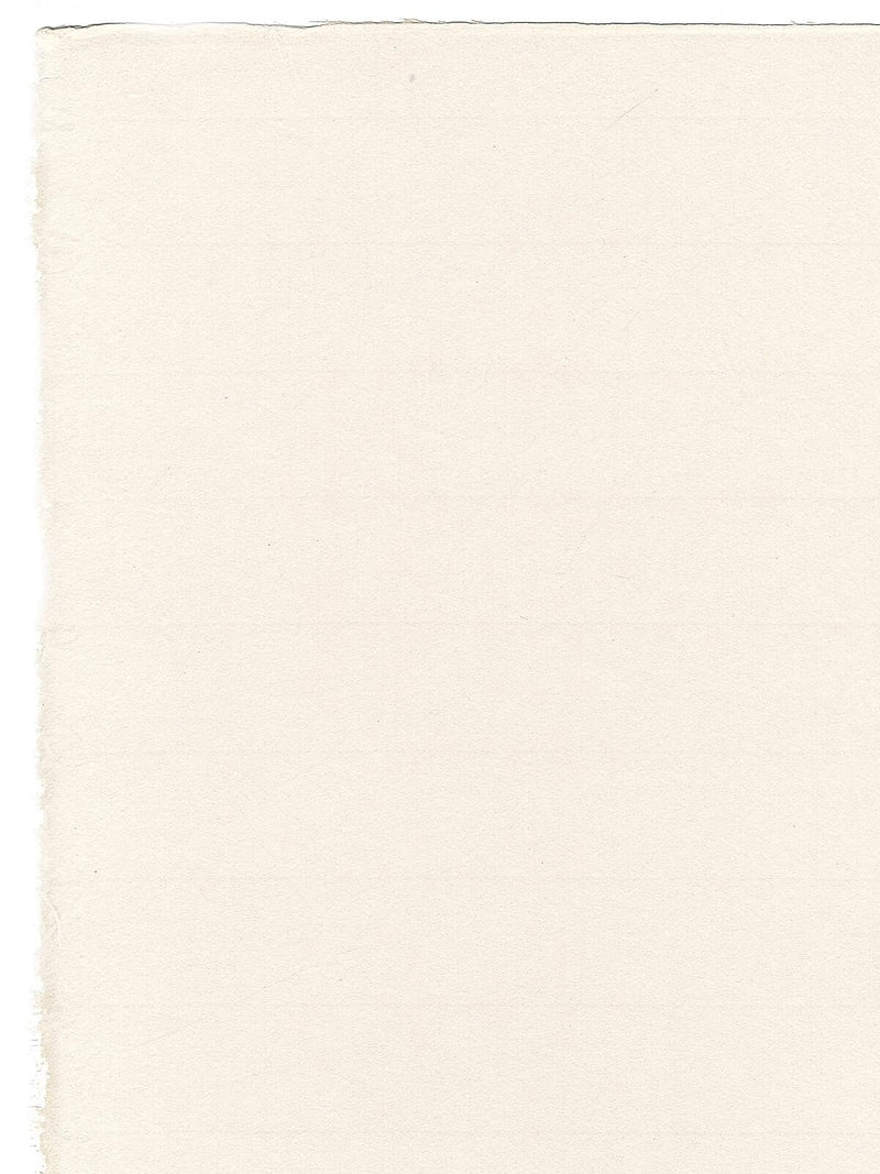 Legion Paper Hosho Printmaking Paper 19 in. x 24 in. professional grade [Pack of 10](PK10-J51HOSWHK1924)