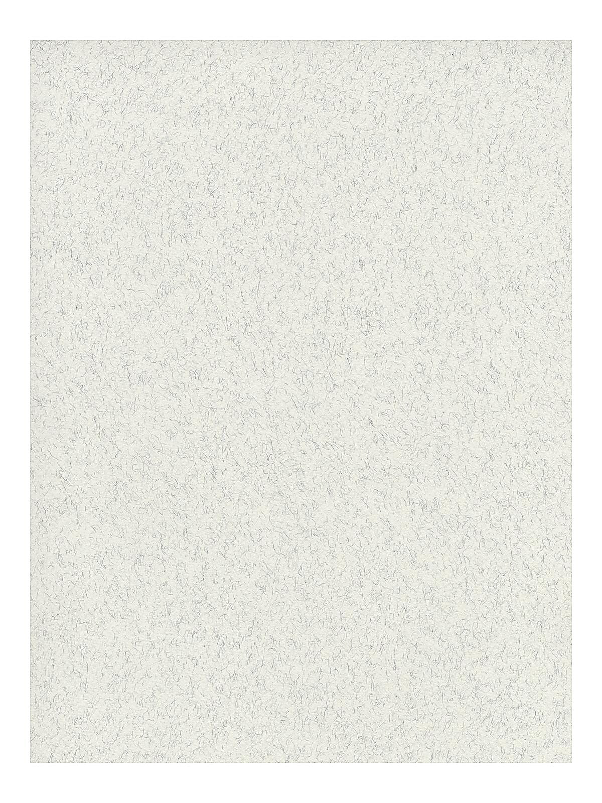 Fabriano Tiziano Drawing Paper felt light gray [Pack of 10](PK10-71-33032)