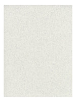 Fabriano Tiziano Drawing Paper felt light gray [Pack of 10](PK10-71-33032)