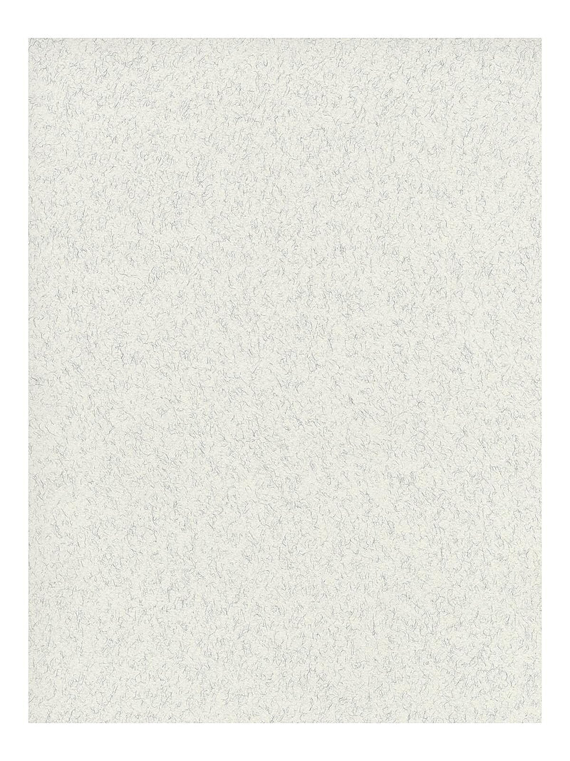 Fabriano Tiziano Drawing Paper felt light gray [Pack of 10](PK10-71-33032)