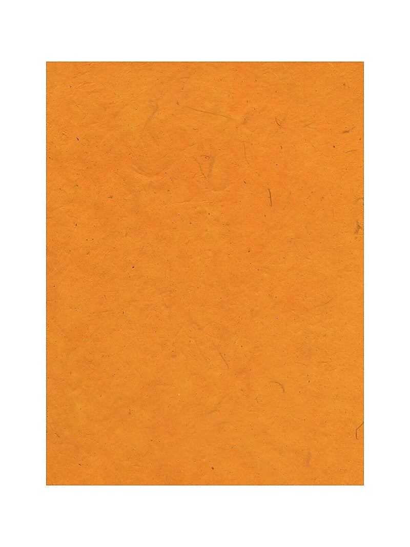 Graeham Owens Lokta Paper buttercup 20 in. x 30 in. 20 g [Pack of 10](PK10-GO-LTBCP)