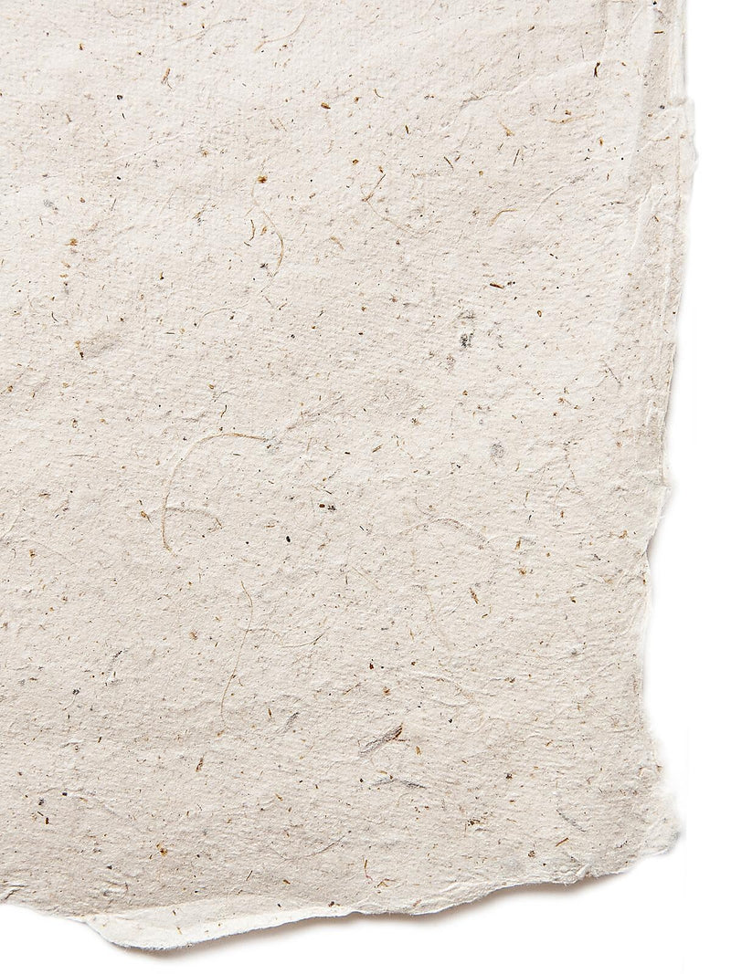 Graeham Owens Lokta Paper hemp 20 in. x 30 in. 20 g [Pack of 10](PK10-GO-LT-HEM)