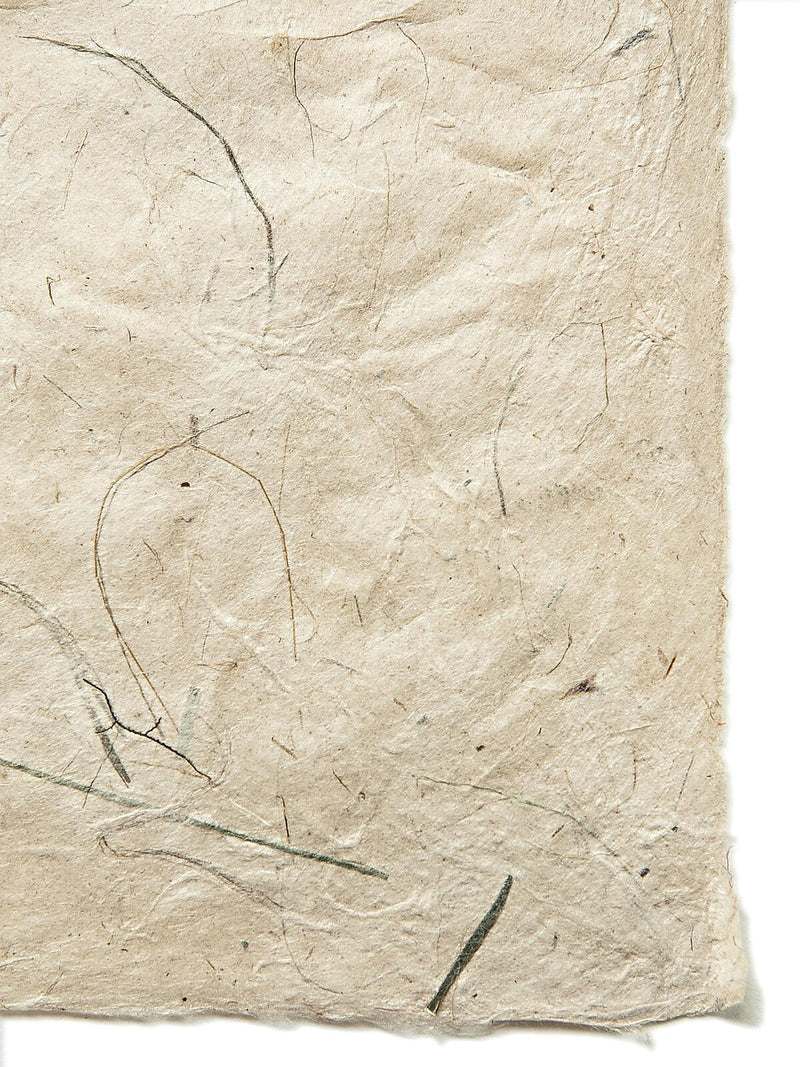 Graeham Owens Lokta Paper jute fiber 20 in. x 30 in. 20 g [Pack of 10](PK10-GO-LTLJF)