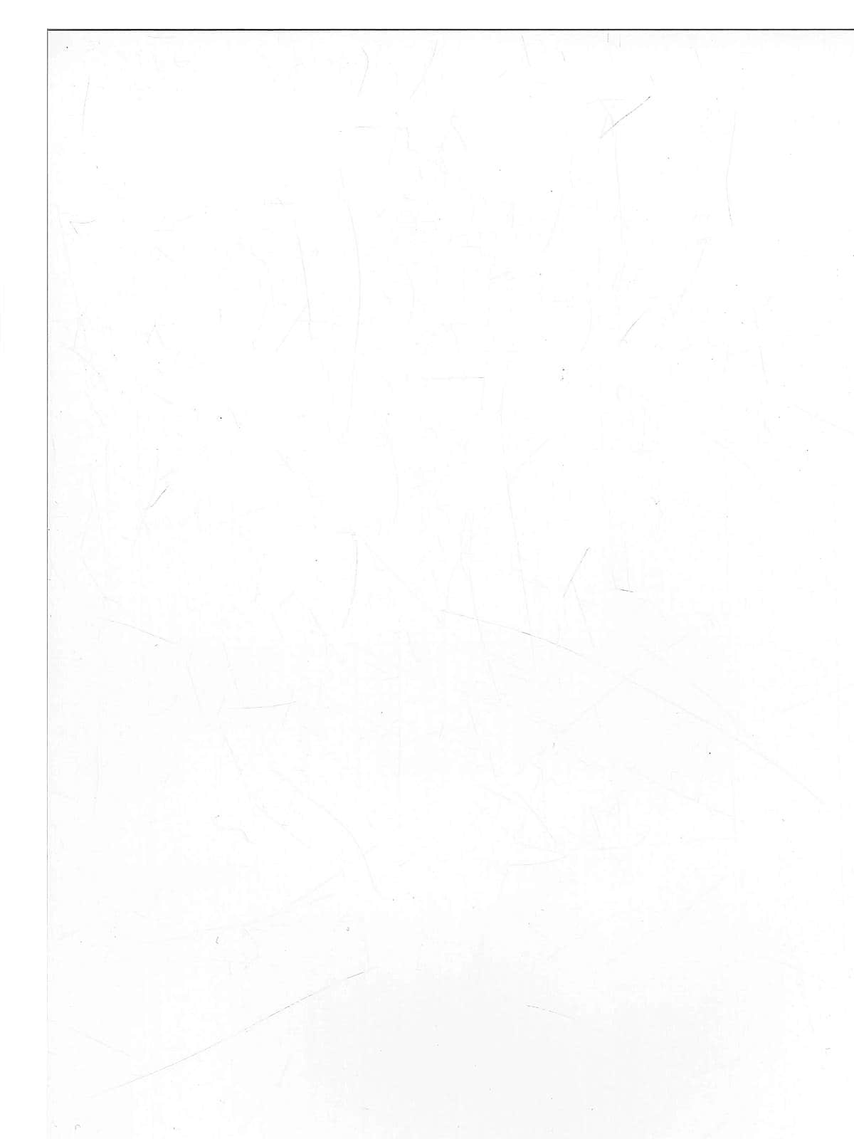 Yupo Watercolor Paper 26 in. x 20 in. white 58 lb. [Pack of 10](PK10-Y26YUPOWH582620)
