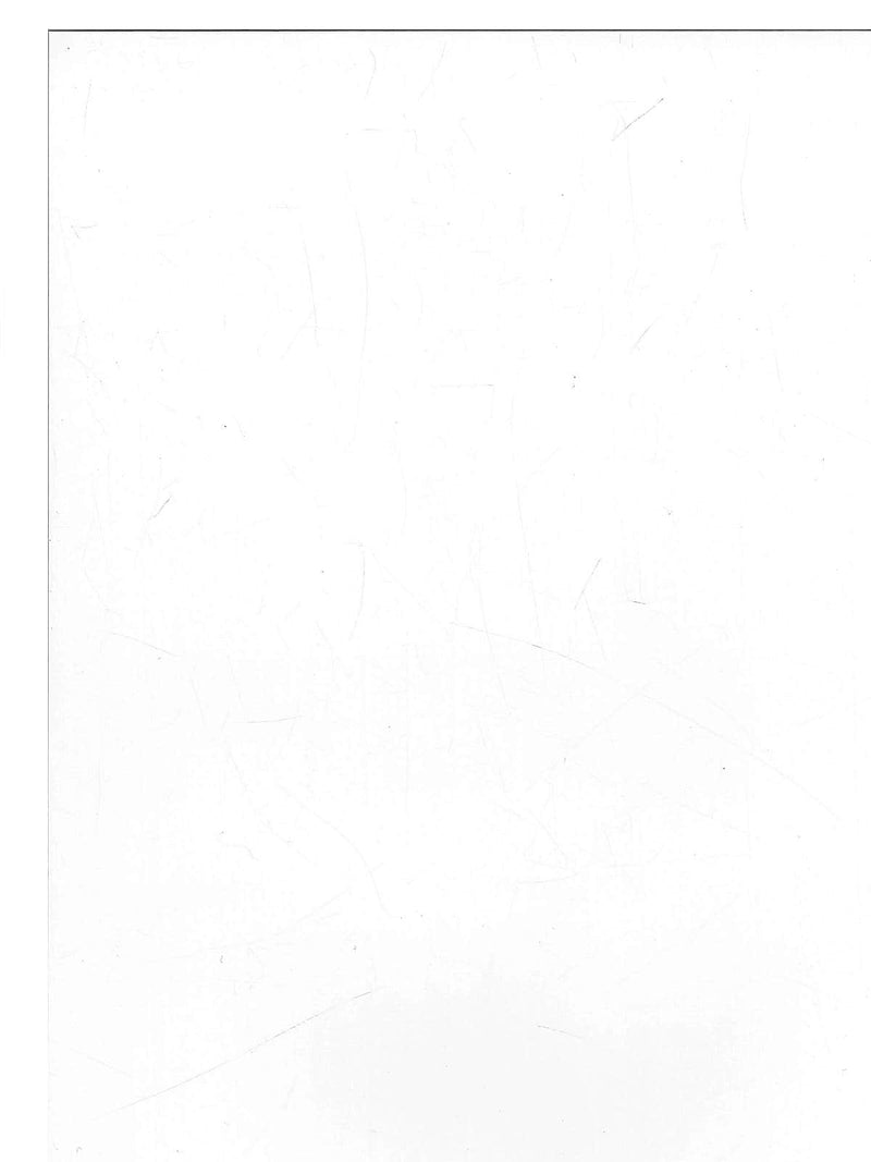 Yupo Watercolor Paper 26 in. x 20 in. white 58 lb. [Pack of 10](PK10-Y26YUPOWH582620)