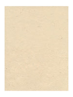 Graeham Owens Lokta Paper natural 20 in. x 30 in. 20 g [Pack of 10](PK10-GO-LTNAT)