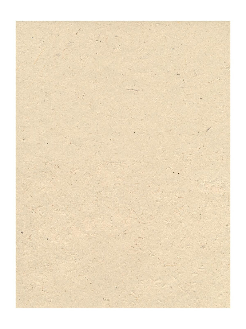Graeham Owens Lokta Paper natural 20 in. x 30 in. 20 g [Pack of 10](PK10-GO-LTNAT)