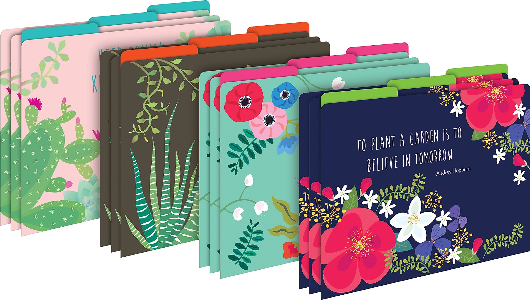 Barker Creek Petals & Prickles File Folder, 1/3-Cut Tab, Letter Size, Assorted Colors, 42/Set (4418)