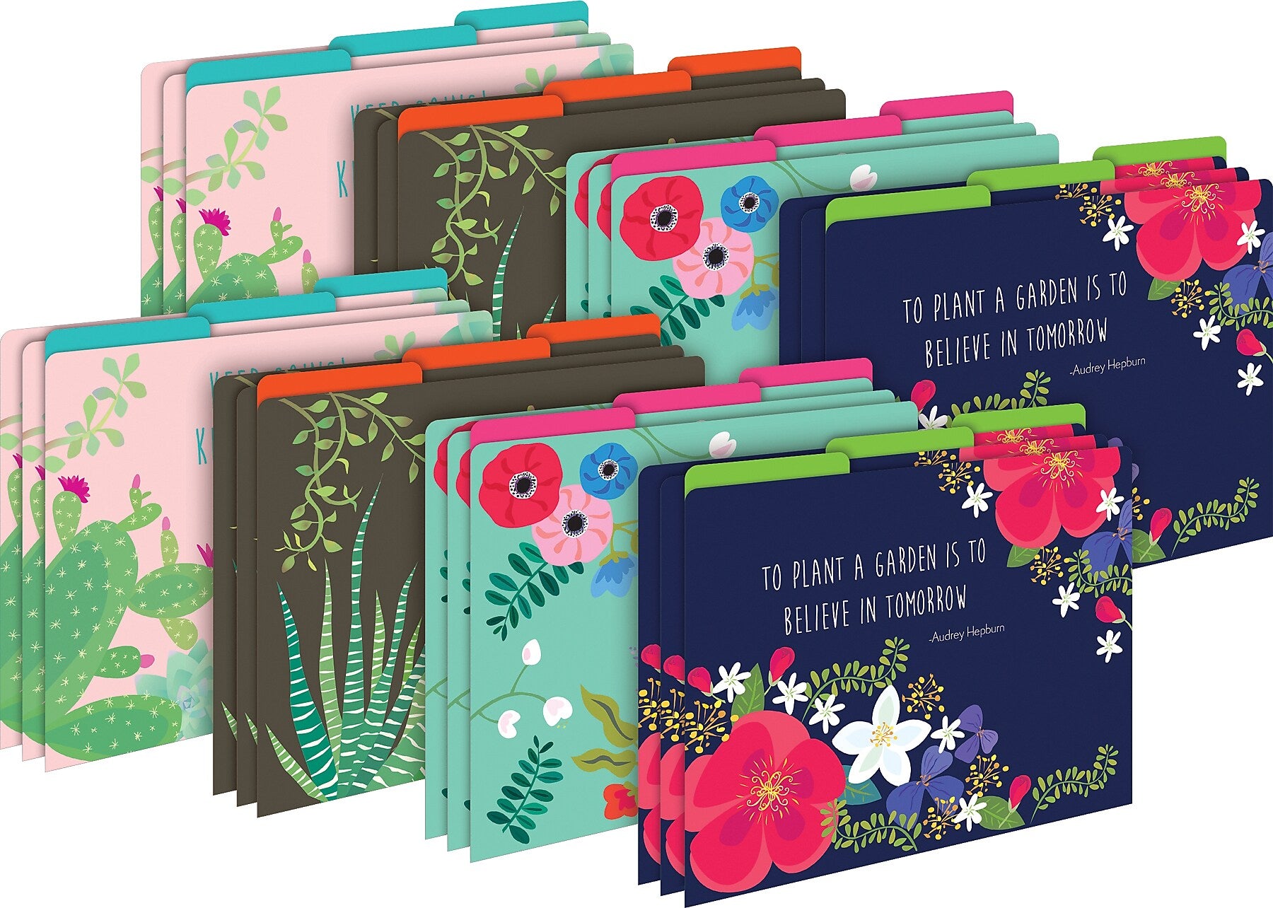 Barker Creek Petals & Prickles File Folder, 1/3-Cut Tab, Letter Size, Assorted Colors, 24/Set (4370)