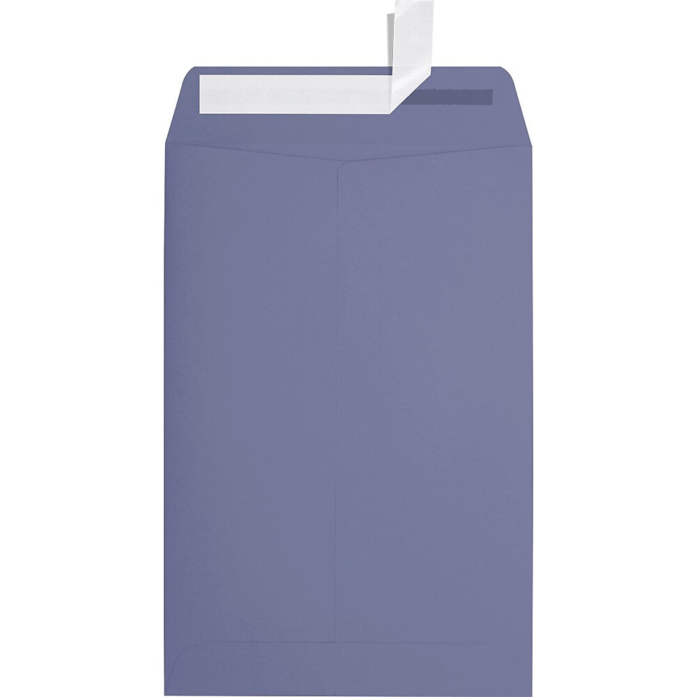 JAM Paper 6 x 9 Open End Envelopes ,Wisteria , 50 Pack, Purple (LUX-1644-106-50)