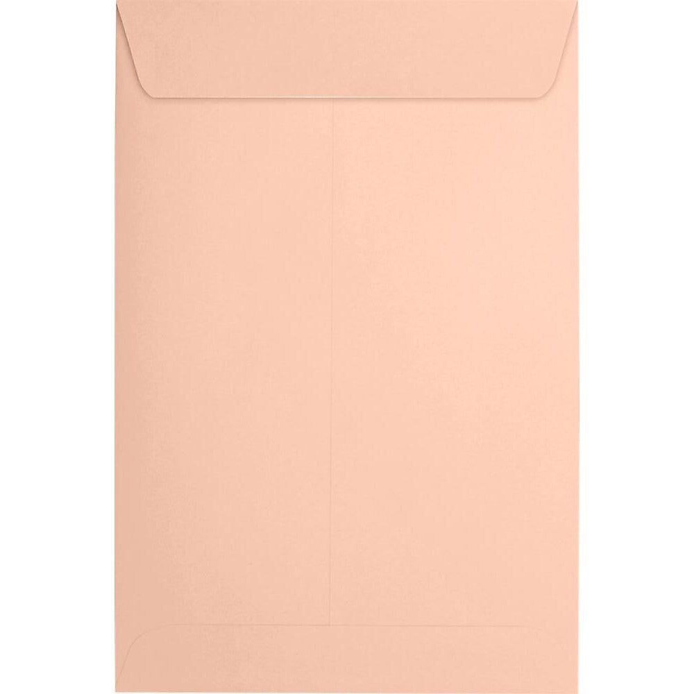 JAM Paper 6 x 9 Open End Envelopes, Peel & Press, Blush Pink, 250 Pack (1644-114-250)