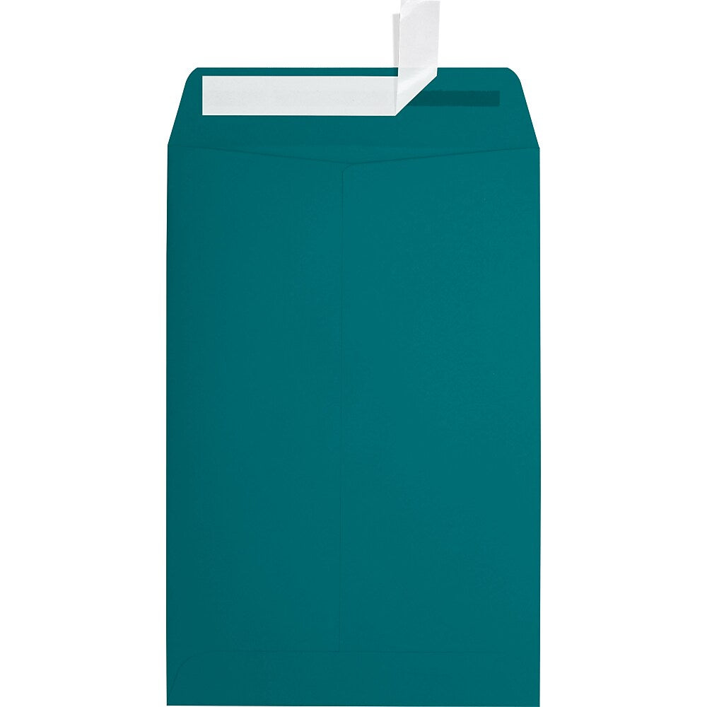 JAM Paper 6 x 9 Open End Envelopes, Teal Blue, 250/Pack (EX1644-25-250)
