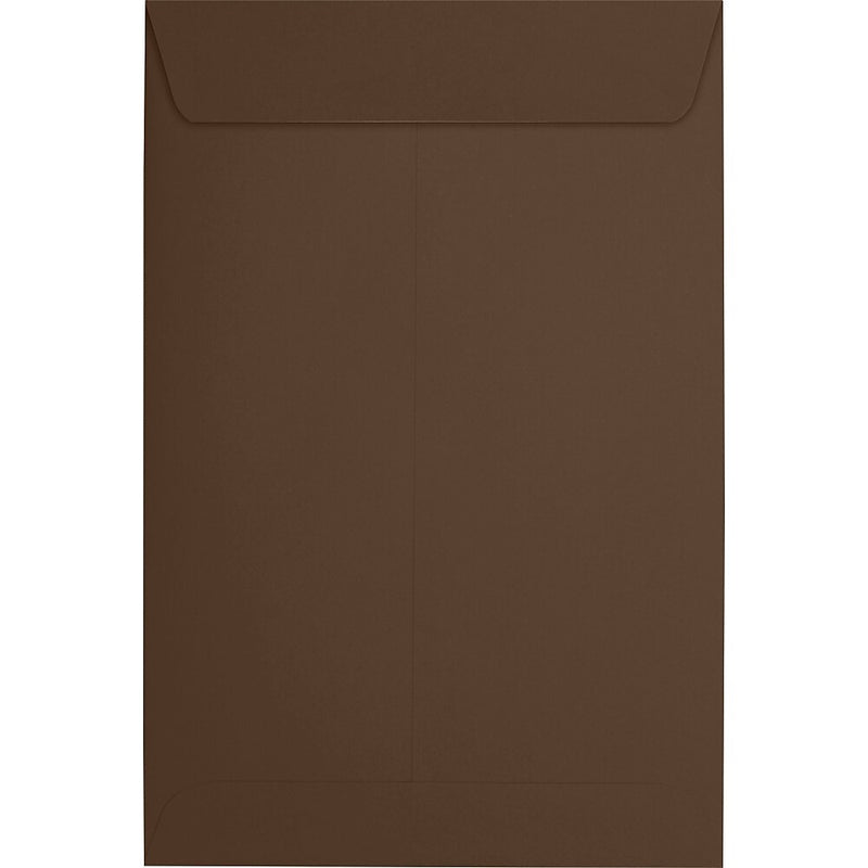 JAM Paper 6 x 9 Open End Envelopes ,Chocolate , 50 Pack, Brown (EX1644-17-50)