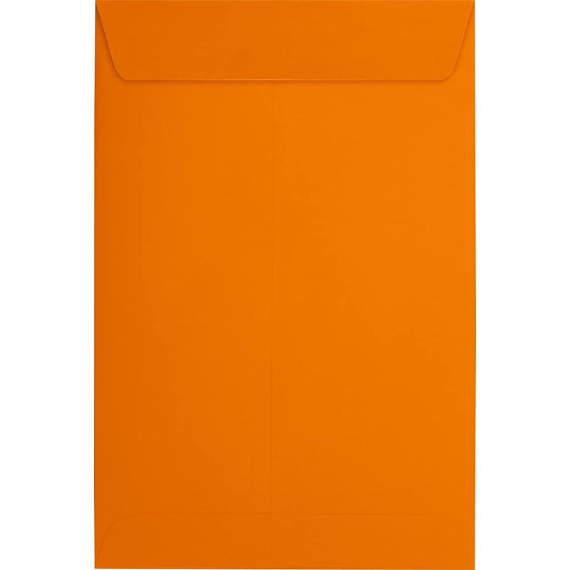 JAM Paper 6 x 9 Open End Envelopes, Mandar,Orange, 250/Pack (EX1644-11-250)