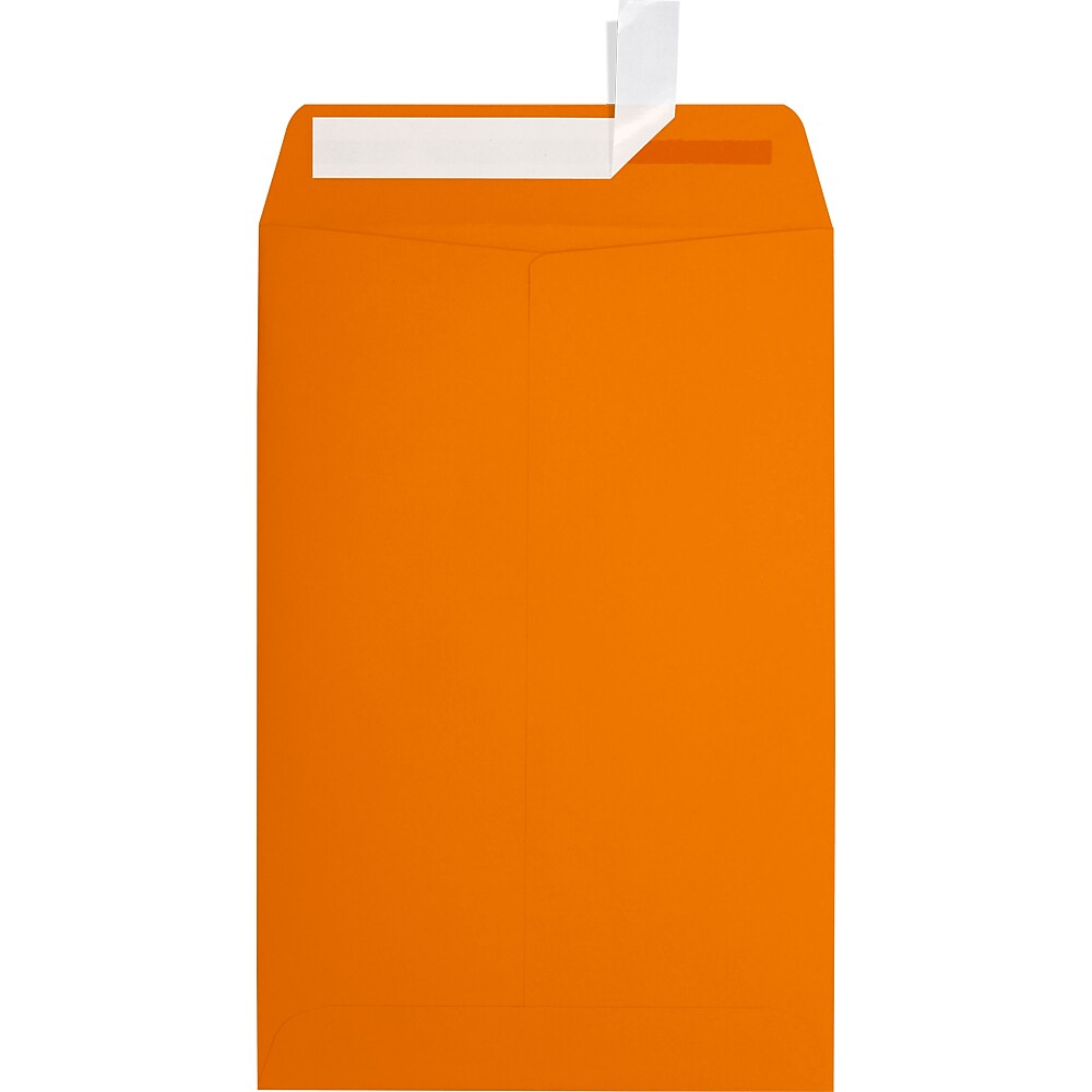JAM Paper 6 x 9 Open End Envelopes, Mandar,Orange, 250/Pack (EX1644-11-250)