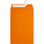 JAM Paper 6 x 9 Open End Envelopes, Mandar,Orange, 250/Pack (EX1644-11-250)