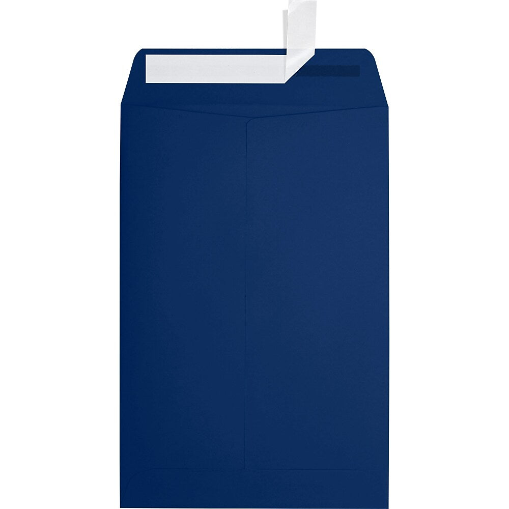 JAM Paper 6 x 9 Open End Envelopes ,Navy , 50 Pack, Dark Blue (LUX-1644-103-50)