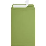 JAM Paper 6 x 9 Open End Envelopes ,Avocado , 50 Pack, Green (EX1644-27-50)