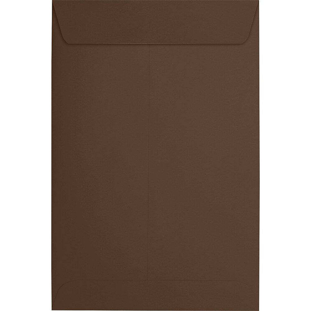 JAM Paper 6 x 9 Open End Envelopes, Chocolate, 500/Pack (EX1644-17-500)