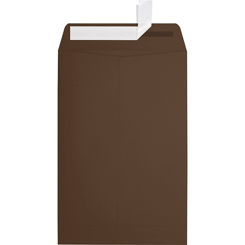 JAM Paper 6 x 9 Open End Envelopes, Chocolate, 500/Pack (EX1644-17-500)