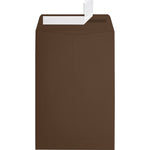 JAM Paper 6 x 9 Open End Envelopes, Chocolate, 500/Pack (EX1644-17-500)