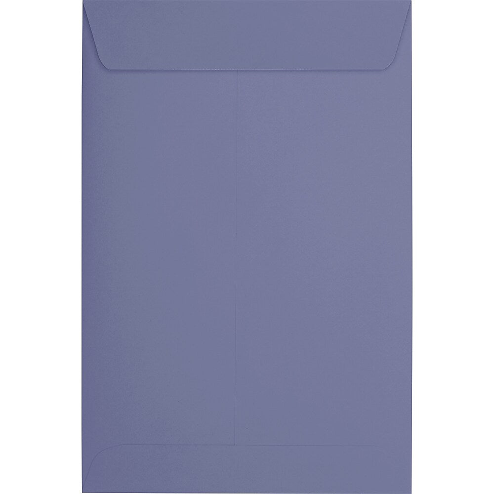 JAM Paper 6 x 9 Open End Envelopes ,Wisteria , 50 Pack, Purple (LUX-1644-106-50)