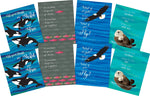 Barker Creek 8" x 10" What if You Fly Posters, 8/Set (4182)